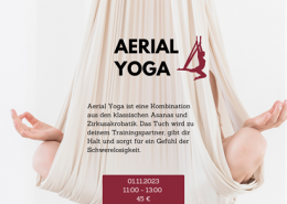 aerial-yoga